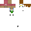Texture for ss
