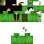 Texture for Turtle me