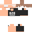 Texture for 828