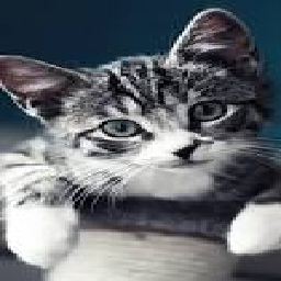 Texture for meow!!!!!!!!!!!!!!!!!!!!!!!!!!!!!!!!!!!!!!!!!!!!!!!!!!!!!!!!!!!!!!!!!!!!!!!!!!!!!!!!!!!!!!