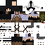 Texture for Server Ilusion.1