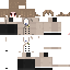 Texture for akechi