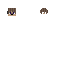 Texture for 20CX