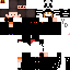 Texture for pr_2
