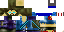 Texture for master ninja