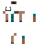 Texture for IMDAVR