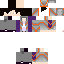 Texture for Sectron