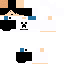 Texture for Roger_BRks