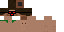 Texture for dddd