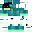 Texture for snv 1