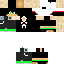 Texture for osnir12345