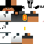 Texture for A5IMPLEGUY4