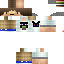 Texture for WiDar