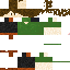 Texture for foxy2008