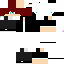 Texture for Davillasza