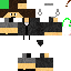Texture for steve