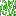 Texture for oak leave