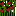 Texture for tomatebas