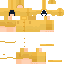 Texture for sic