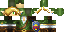 Texture for Link