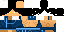 Texture for ds