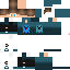 Texture for max