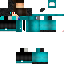 Texture for Steve