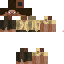 Texture for Steve2