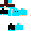 Texture for Joe Timerz Nova Skin