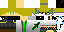 Texture for sshane2000