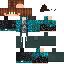 Texture for sfs