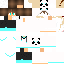 Texture for GEMINI