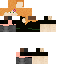 Texture for ALEX 