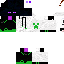 Texture for ender10