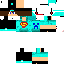 Texture for steve