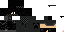 Texture for wersa1212 