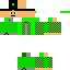 Texture for Dinye3856