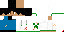 Texture for Survivor