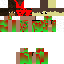 Texture for vert