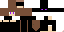 Texture for ender
