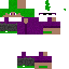 Texture for SrCoringa