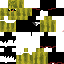 Texture for flutemelon