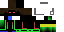 Texture for LadSTar