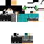 Texture for Steve