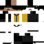 Texture for VALGOV