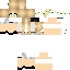 Texture for pranee555