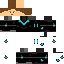 Texture for Placidium