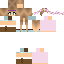 Texture for steve