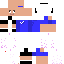 Texture for Basti