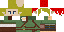 Texture for Link